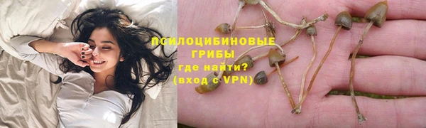 мет Белокуриха